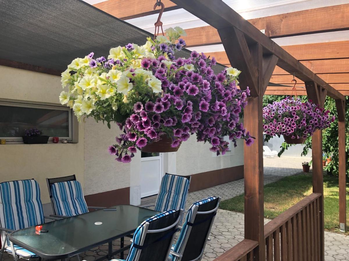 Apartmán Elvira Vendeghaz Kisbodak Exteriér fotografie