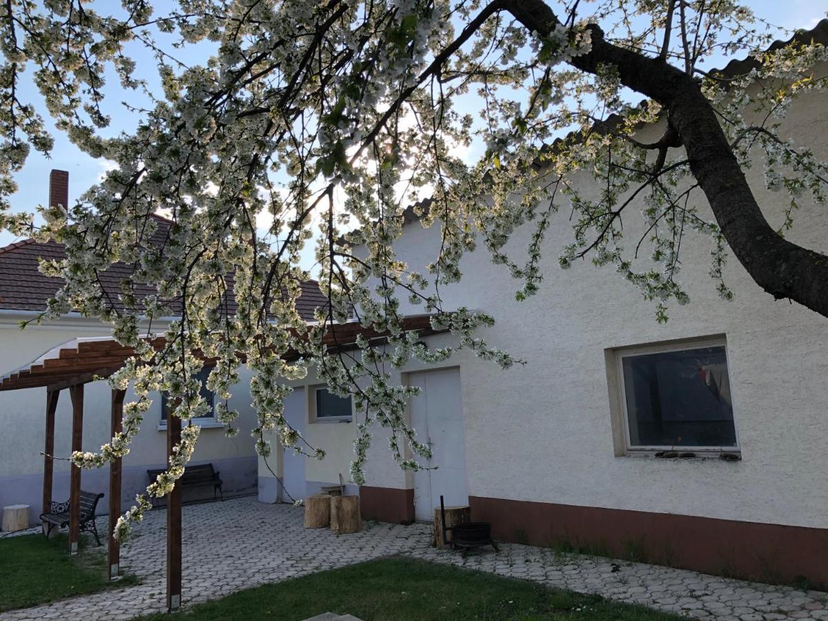 Apartmán Elvira Vendeghaz Kisbodak Exteriér fotografie